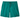 Men's Hydropeak Volley Shorts - 16 In. -Team Surf Activist: Borealis Green